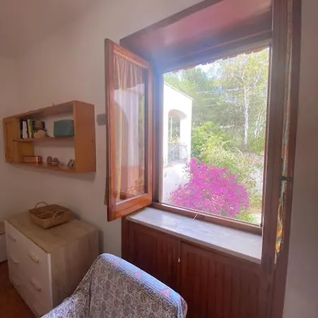 Apartment Casa Del Fico *